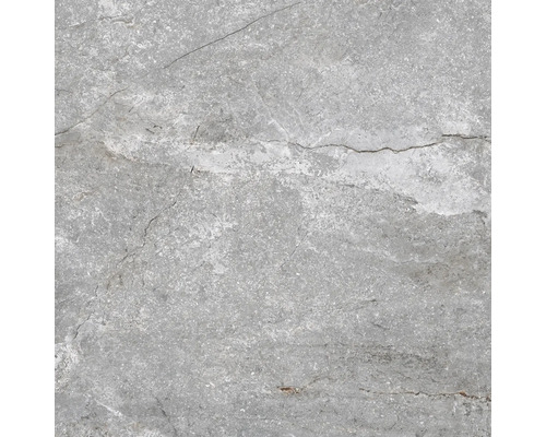 Feinsteinzeug Wand- und Bodenfliese Wells ash matt 60x60 cm