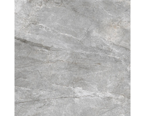 Feinsteinzeug Wand- und Bodenfliese Wells ash matt 120x120x1.07 cm Feinsteinzeug Wand- und Bodenfliese Wells ash matt 120x120x1.07 cm