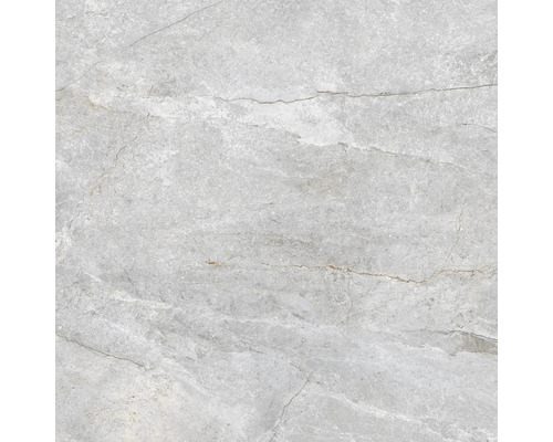 Feinsteinzeug Wand- und Bodenfliese Wells pearl poliert 90x90x1.05 cm Feinsteinzeug Wand- und Bodenfliese Wells pearl poliert 90x90x1.05 cm
