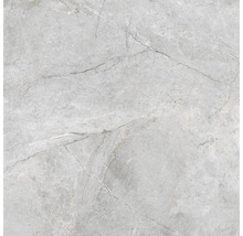 Carrelage sol et mur en grès cérame fin Wells pearl poli 120x120x1.07 cm