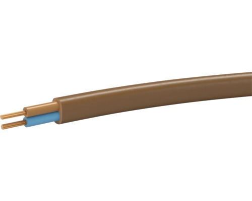 Elektrokabel mit zwei Adern