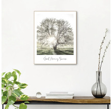 Gerahmtes Bild mit einem Baum im Sonnenaufgang und dem Schriftzug Guten Morgen