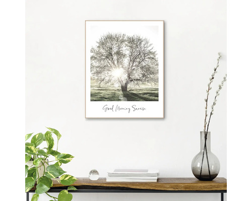 Gerahmtes Bild mit einem Baum im Sonnenaufgang und dem Schriftzug Guten Morgen