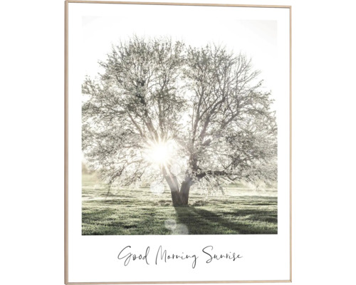 Gerahmtes Bild Morgensonne 40x50 cm Gerahmtes Bild mit Baum im Morgenlicht