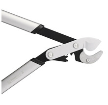 Astschneider mit Teleskopstiel und Schneidkopf