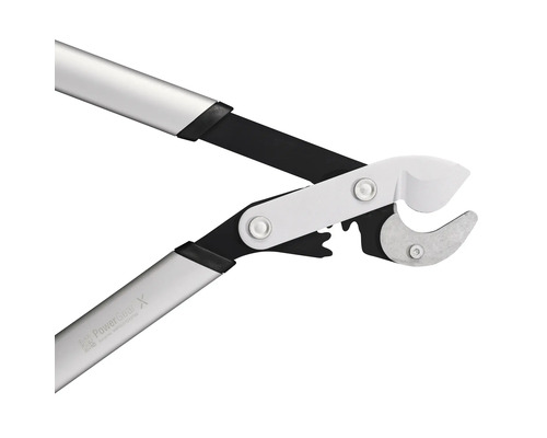 Astschneider mit Teleskopstiel und Schneidkopf