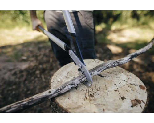 Eine Person schneidet einen Ast mit einer Astschere auf einem Baumstumpf