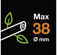 Maximale Aststärke 38 Millimeter
