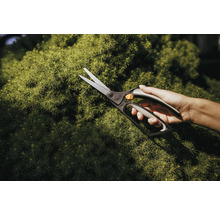 Jardinage avec un taille-haie sur une plante