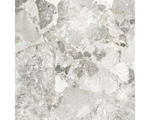 Carreau de sol gris avec motif de pierre