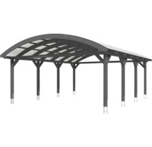 Carport en bois avec toit incurvé et éléments de toit translucides