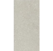 Dalle de terrasse en grès cérame fin Shellstone taupe bord rectifié 120x60x2 cm