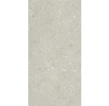 Dalle de terrasse en grès cérame fin Shellstone taupe bord rectifié 120x60x2 cm