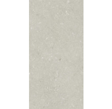Dalle de terrasse en grès cérame fin Shellstone taupe bord rectifié 120x60x2 cm