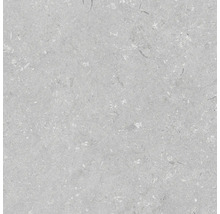 Dalle de terrasse en grès cérame fin Shellstone grigio bord rectifié 60x60x2 cm