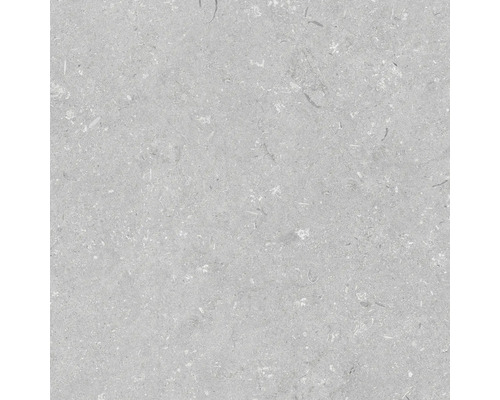 Feinsteinzeug Terrassenplatte Shellstone grigio rektifizierte Kante 60 x 60 x 2 cm Nahaufnahme einer grauen Natursteinfliese