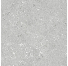 Dalle de terrasse en grès cérame fin Shellstone grigio bord rectifié 60x60x2 cm