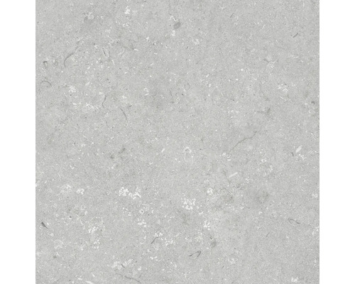 Feinsteinzeug Terrassenplatte Shellstone grigio rektifizierte Kante 60 x 60 x 2 cm