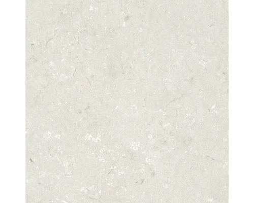 Dalle de terrasse en grès cérame fin Shellstone beige 60x60x2 cm