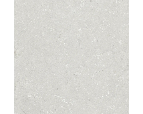 Feinsteinzeug Terrassenplatte Shellstone bianco rektifizierte Kante 60 x 60 x 2 cm