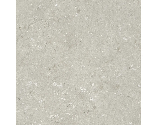 Feinsteinzeug Terrassenplatte Shellstone taupe rektifizierte Kante 60 x 60 x 2 cm