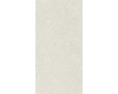 Feinsteinzeug Terrassenplatte Shellstone beige rektifizierte Kante 120 x 60 x 2 cm Feinsteinzeug Terrassenplatte Shellstone beige rektifizierte Kante 120 x 60 x 2 cm