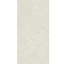 Dalle de terrasse en grès cérame fin Shellstone beige bord rectifié 120x60x2 cm
