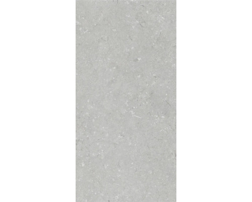 Dalle de terrasse en grès cérame fin Shellstone grigio 120x60x2 cm