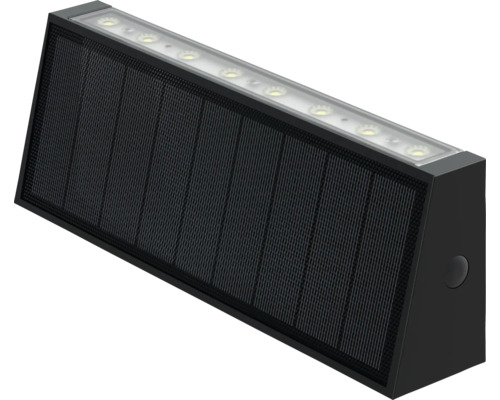 Schwarze Solarleuchte mit LED Leuchtmitteln