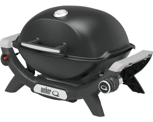 Weber Gasgrill Q1100N