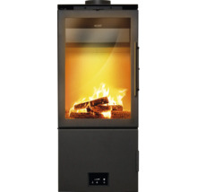 Poêle à bois Nort avec feu de bois