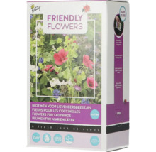 Buzzy Friendly Flowers mélange de graines de fleurs pour coccinelles, adapté pour 25 mètres carrés