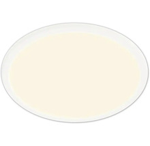 Assiette ovale en céramique