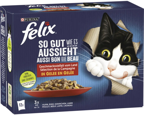 Felix Agail Fleisch 12x85 g