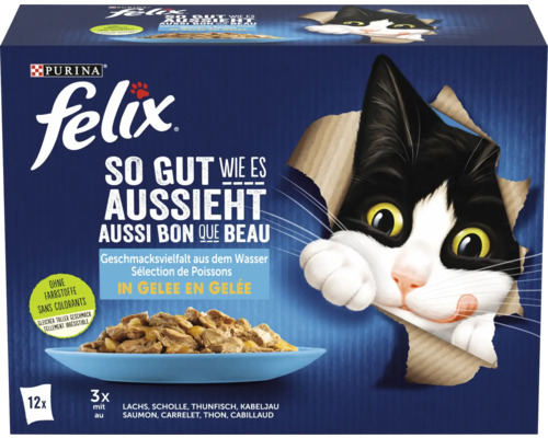 Felix Agail Poisson 12x85 g