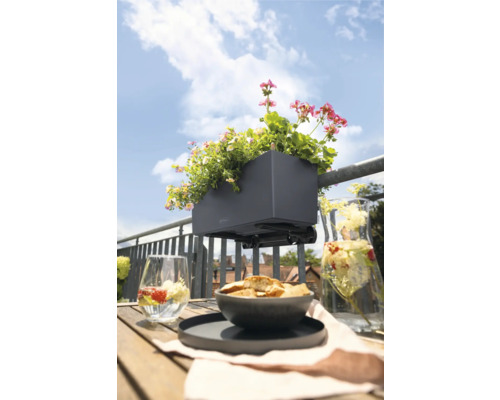 Balkonszene mit Blumenkasten und sommerlicher Dekoration auf Holztisch