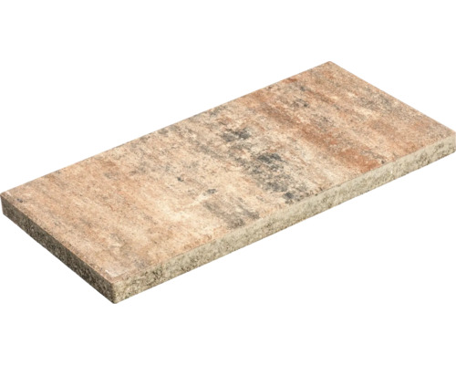 Dalle de terrasse en béton iStone Value beige coquillage 60x30x4 cm