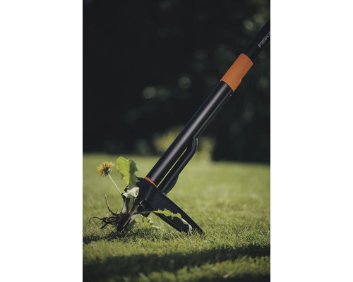 Désherbeur en action, enlevant une seule fleur de la pelouse