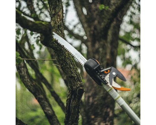Élagueur coupant une branche d''arbre