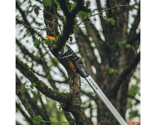 Élagueur coupant une branche