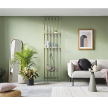 Salon avec canapé, étagère, miroir, plantes d''intérieur et décoration