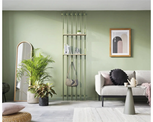Salon avec canapé, étagère, miroir, plantes d''intérieur et décoration