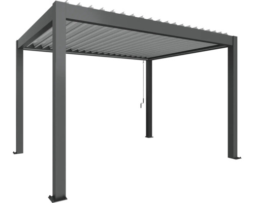 Pergola biohort 4x3 404,5 x 312 cm gris foncé-métallique/argent