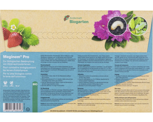 Meginem Pro zur biologischen Bekämpfung von Dickmaulrüsslerlarven schützt Rosen, Erdbeeren und Obstbäume