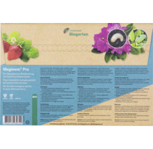 Meginem Pro pour lutter biologiquement contre les larves d''otiorhynque