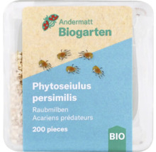 Phytoseiulus-Raubmilben 200 Stk