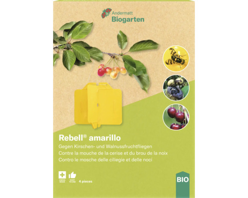 Rebell Amarillo 4 pces