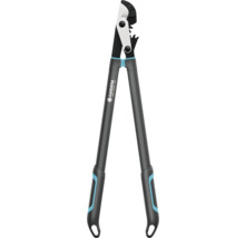 Sécateur à long manche pour la taille des arbres