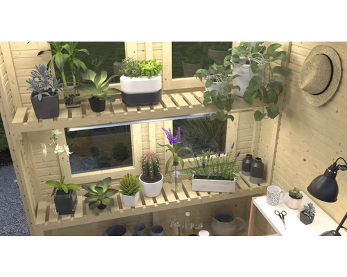 Innenraum mit Pflanzen auf Holzregalen und einem Hut an der Wand