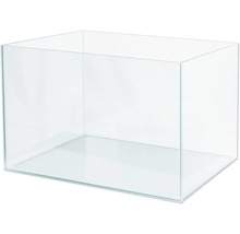 Leeres Glasaquarium